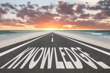 太阳花的寓意和花语