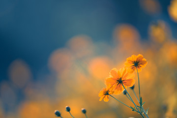 3个科学家的资料(随便3个)