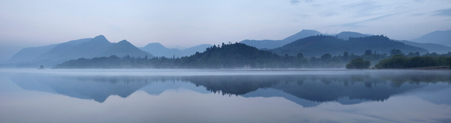 太阳花的寓意和花语