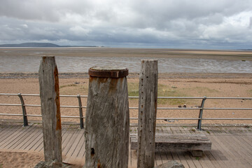 中国现代著名的医学家