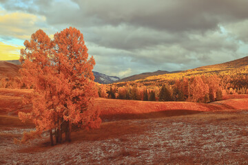 3个科学家的资料(随便3个)