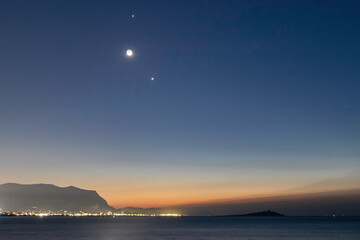 粉掌叶子发黄怎么办