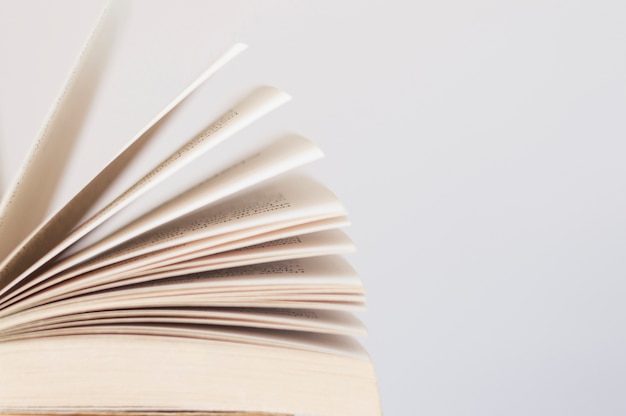 仿生学研究成果有哪些