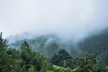 3个科学家的资料(随便3个)