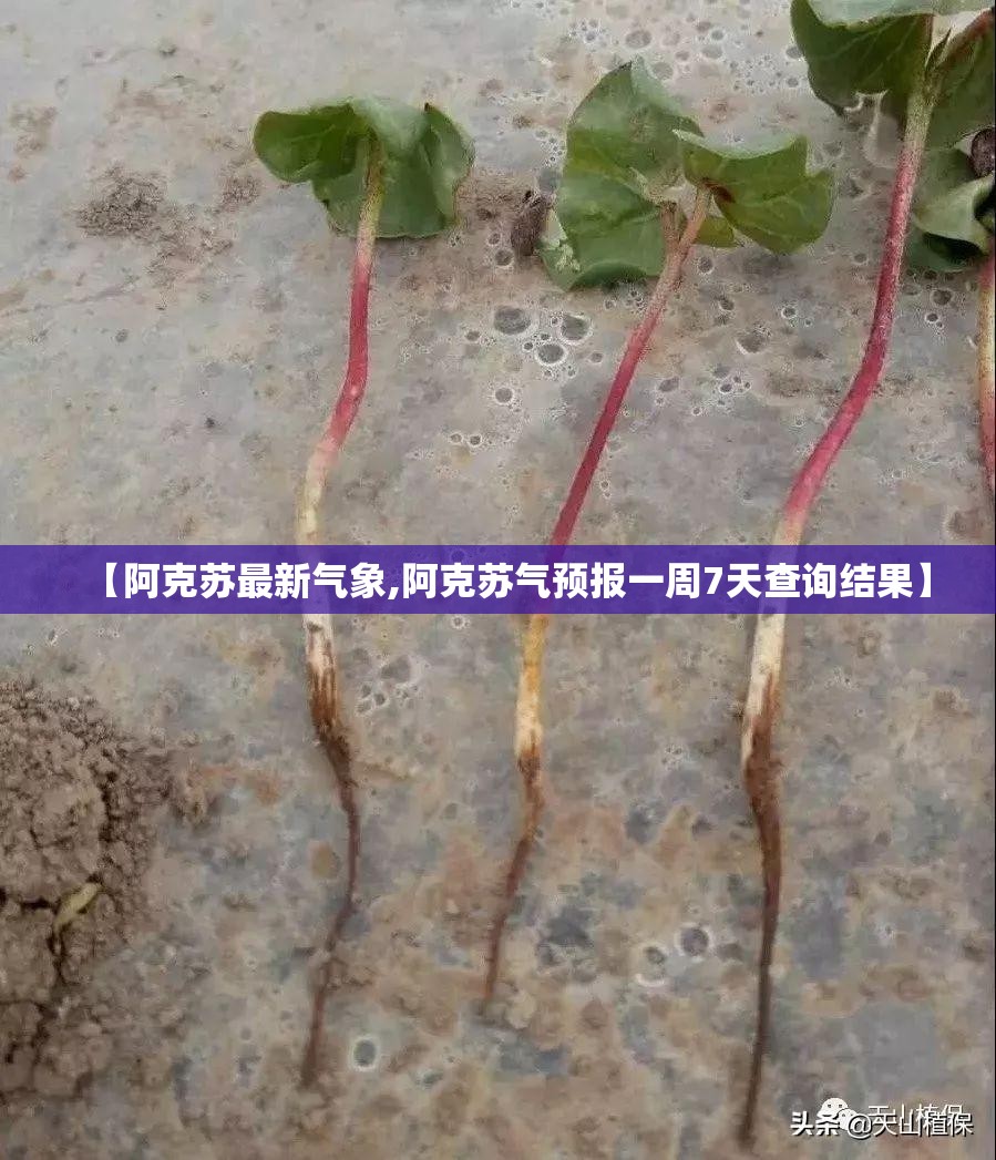【阿克苏最新气象,阿克苏气预报一周7天查询结果】 【阿克苏最新气象,阿克苏气预报一周7天查询结果】
