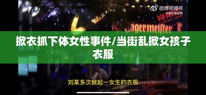 掀衣抓下体女性事件/当街乱掀女孩子衣服 掀衣抓下体女性事件/当街乱掀女孩子衣服