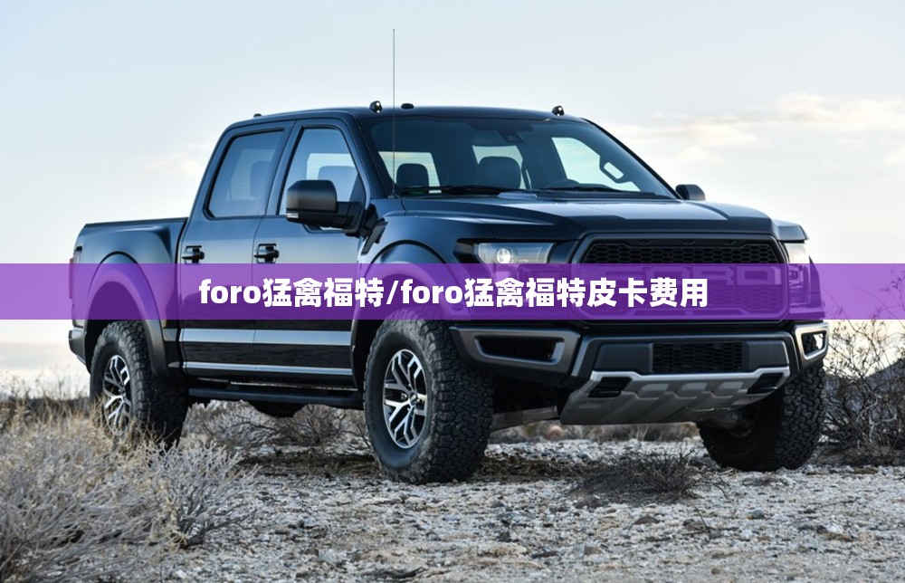 foro猛禽福特/foro猛禽福特皮卡费用 foro猛禽福特/foro猛禽福特皮卡费用
