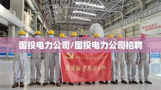 国投电力公司/国投电力公司招聘