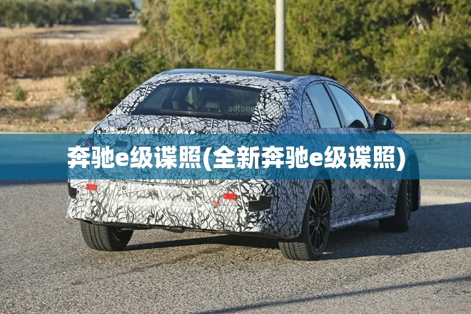 奔驰e级谍照(全新奔驰e级谍照) 奔驰e级谍照(全新奔驰e级谍照)