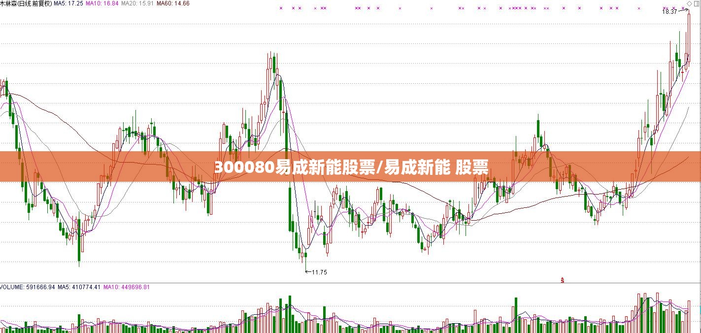 300080易成新能股票/易成新能 股票 300080易成新能股票/易成新能 股票