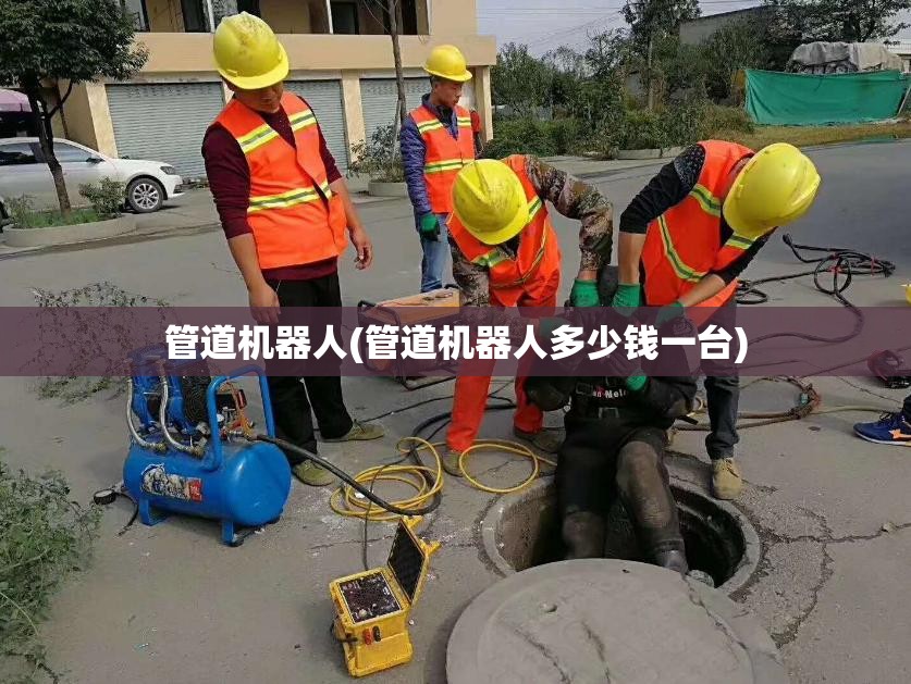 管道机器人(管道机器人多少钱一台)