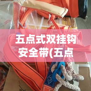 五点式双挂钩安全带(五点式双挂钩安全带标准) 五点式双挂钩安全带(五点式双挂钩安全带标准)