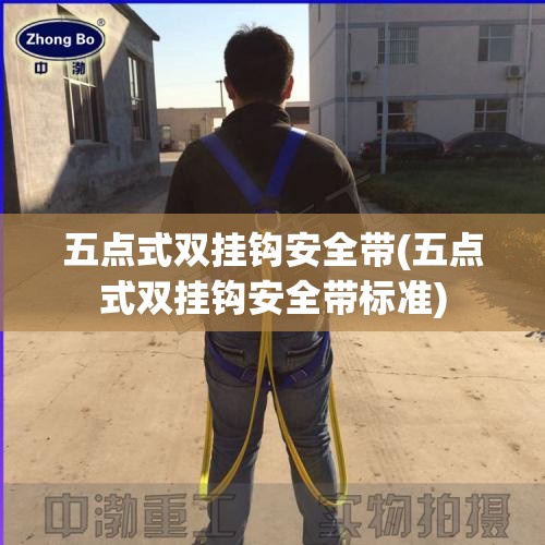 五点式双挂钩安全带(五点式双挂钩安全带标准) 五点式双挂钩安全带(五点式双挂钩安全带标准)