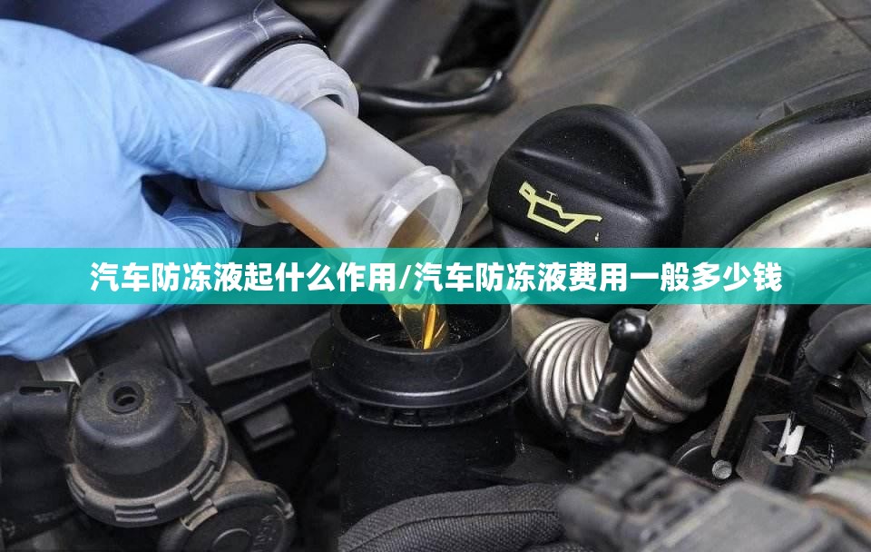 汽车防冻液起什么作用/汽车防冻液费用一般多少钱