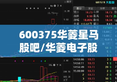 600375华菱星马股吧/华菱电子股吧