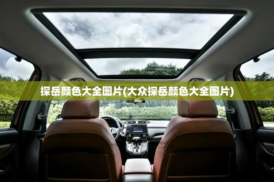 探岳颜色大全图片(大众探岳颜色大全图片) 探岳颜色大全图片(大众探岳颜色大全图片)