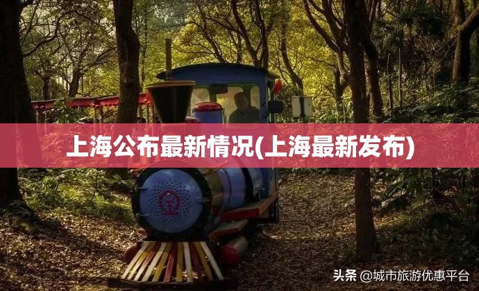 上海公布最新情况(上海最新发布)