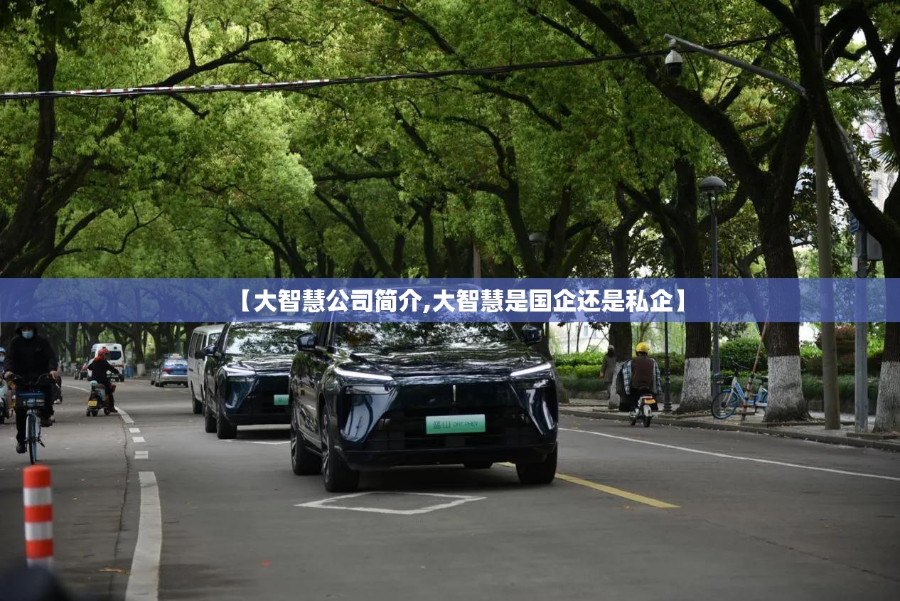 【大智慧公司简介,大智慧是国企还是私企】
