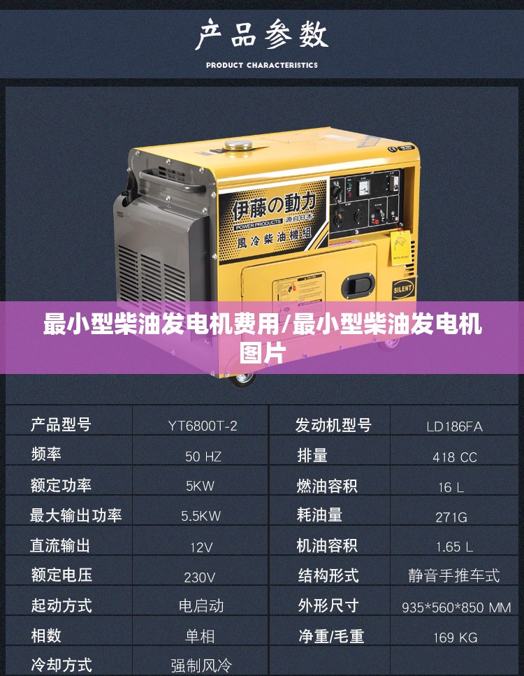 最小型柴油发电机费用/最小型柴油发电机图片 最小型柴油发电机费用/最小型柴油发电机图片