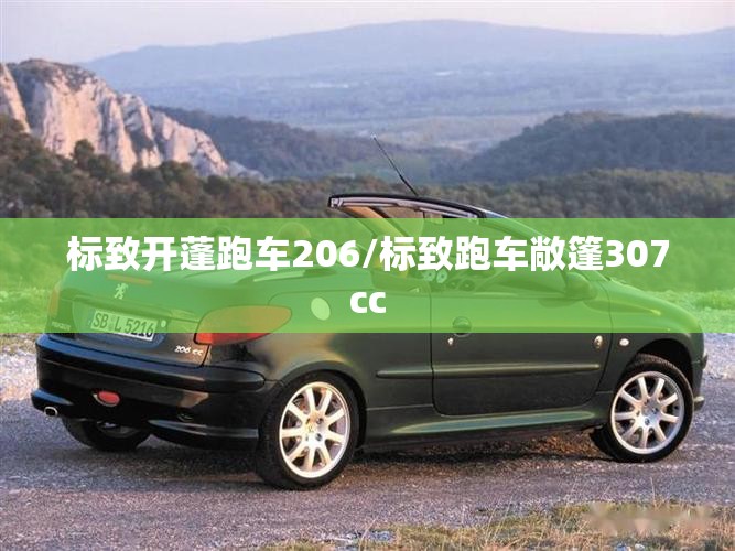 标致开蓬跑车206/标致跑车敞篷307cc 标致开蓬跑车206/标致跑车敞篷307cc