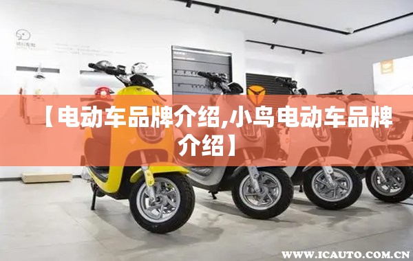 【电动车品牌介绍,小鸟电动车品牌介绍】 【电动车品牌介绍,小鸟电动车品牌介绍】