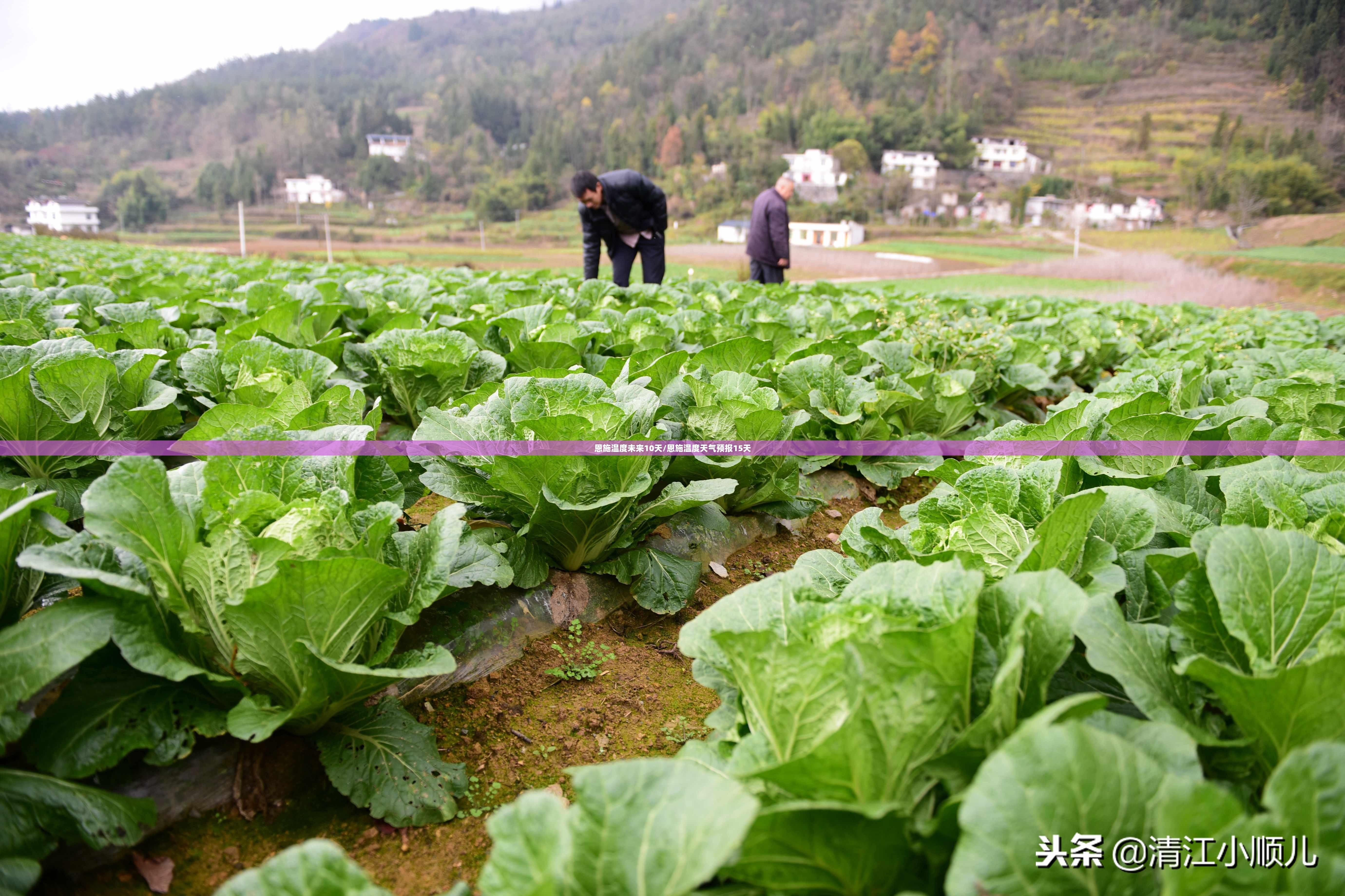 恩施温度未来10天/恩施温度天气预报15天