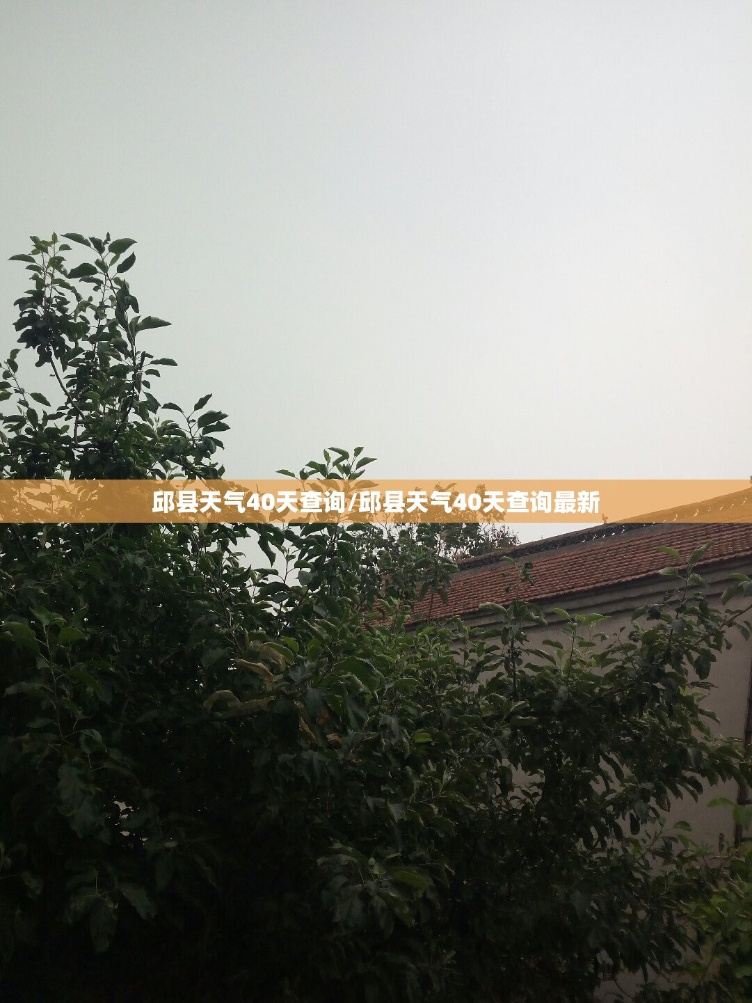 邱县天气40天查询/邱县天气40天查询最新 邱县天气40天查询/邱县天气40天查询最新
