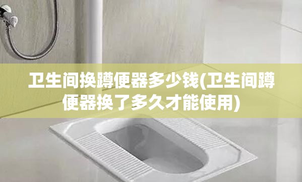 卫生间换蹲便器多少钱(卫生间蹲便器换了多久才能使用) 卫生间换蹲便器多少钱(卫生间蹲便器换了多久才能使用)