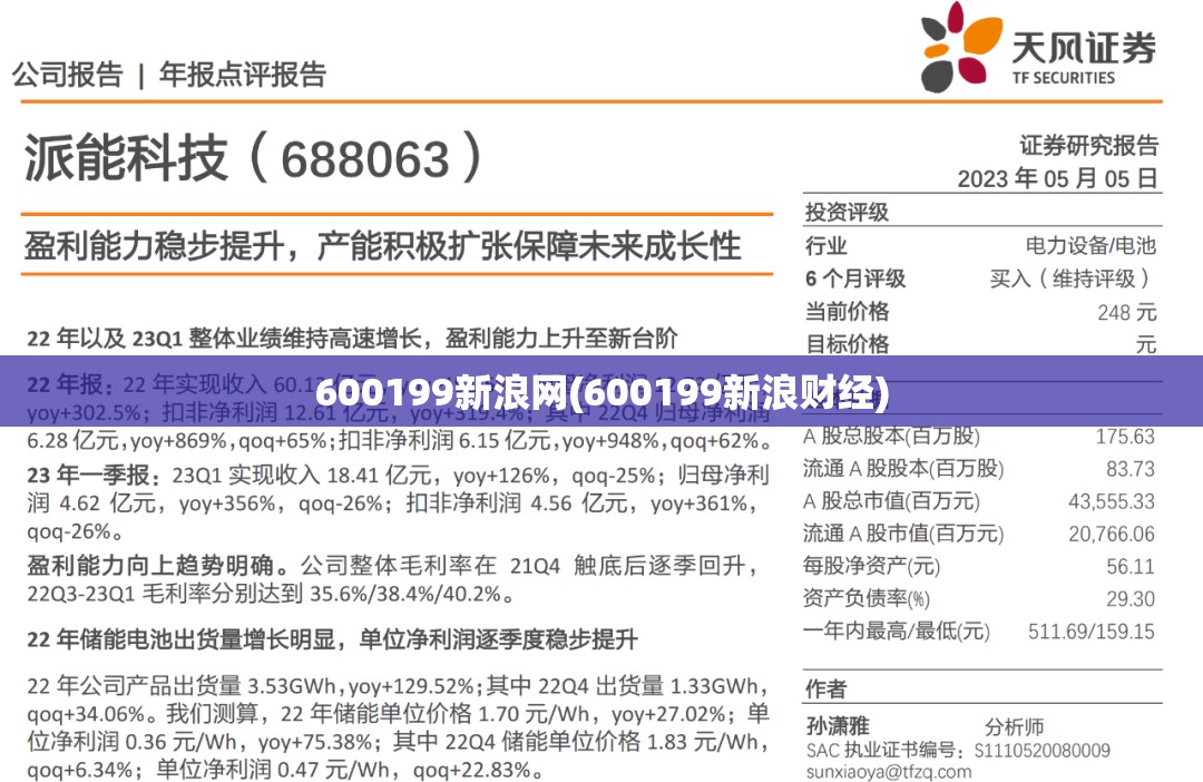 600199新浪网(600199新浪财经)