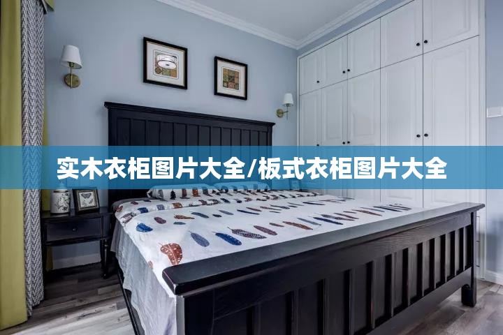 实木衣柜图片大全/板式衣柜图片大全 实木衣柜图片大全/板式衣柜图片大全
