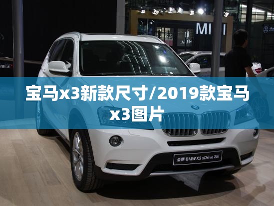 宝马x3新款尺寸/2019款宝马x3图片