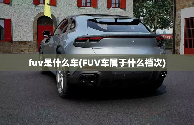 fuv是什么车(FUV车属于什么档次) fuv是什么车(FUV车属于什么档次)