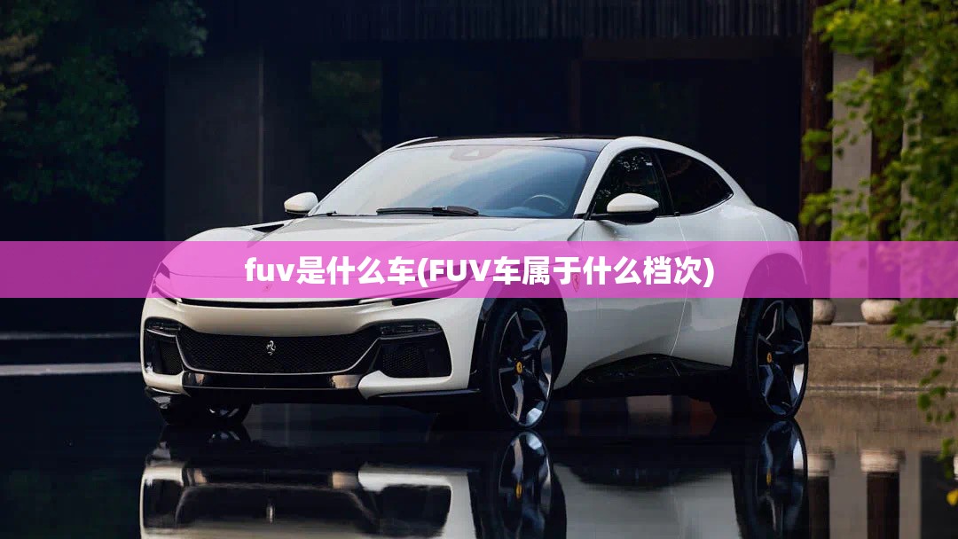 fuv是什么车(FUV车属于什么档次) fuv是什么车(FUV车属于什么档次)
