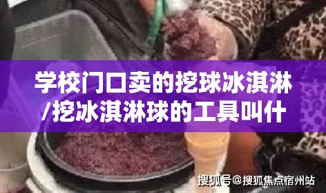学校门口卖的挖球冰淇淋/挖冰淇淋球的工具叫什么 学校门口卖的挖球冰淇淋/挖冰淇淋球的工具叫什么