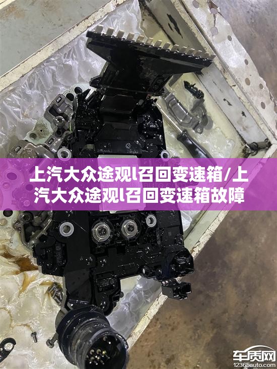 300778股票/300786股票 300778股票/300786股票
