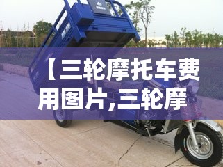 【三轮摩托车费用图片,三轮摩托车费用图片大全】