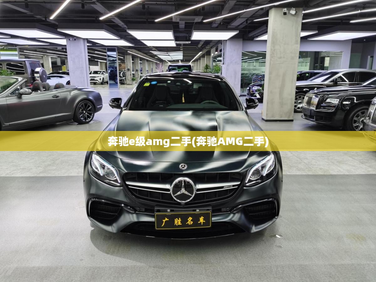 奔驰e级amg二手(奔驰AMG二手) 奔驰e级amg二手(奔驰AMG二手)