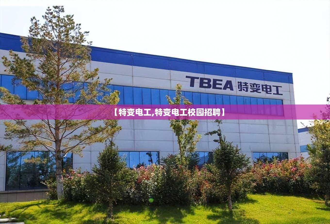 【特变电工,特变电工校园招聘】 【特变电工,特变电工校园招聘】