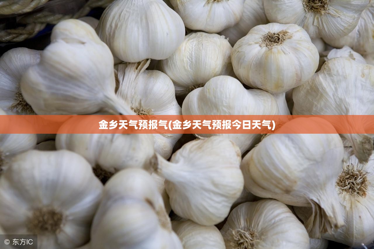 金乡天气预报气(金乡天气预报今日天气) 金乡天气预报气(金乡天气预报今日天气)