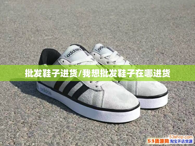 批发鞋子进货/我想批发鞋子在哪进货 批发鞋子进货/我想批发鞋子在哪进货