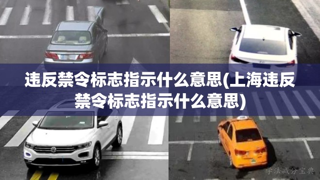 违反禁令标志指示什么意思(上海违反禁令标志指示什么意思) 违反禁令标志指示什么意思(上海违反禁令标志指示什么意思)