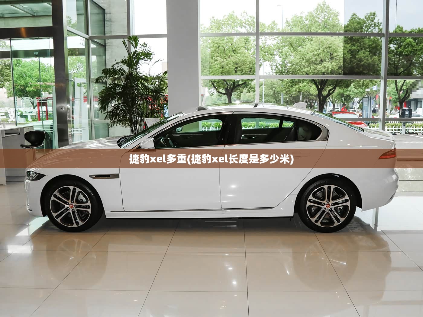 捷豹xel多重(捷豹xel长度是多少米) 捷豹xel多重(捷豹xel长度是多少米)