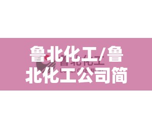 鲁北化工/鲁北化工公司简介 鲁北化工/鲁北化工公司简介