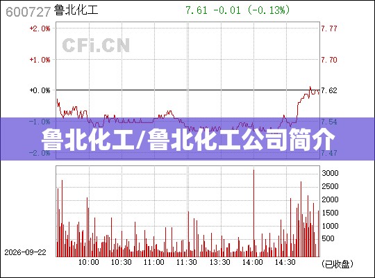 鲁北化工/鲁北化工公司简介 鲁北化工/鲁北化工公司简介