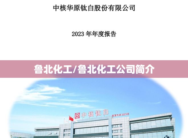 鲁北化工/鲁北化工公司简介 鲁北化工/鲁北化工公司简介