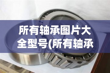 所有轴承图片大全型号(所有轴承图片大全型号及费用) 所有轴承图片大全型号(所有轴承图片大全型号及费用)