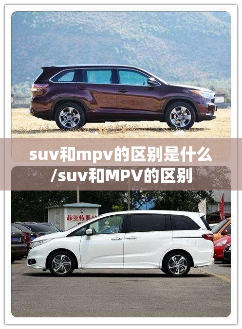 suv和mpv的区别是什么/suv和MPV的区别 suv和mpv的区别是什么/suv和MPV的区别