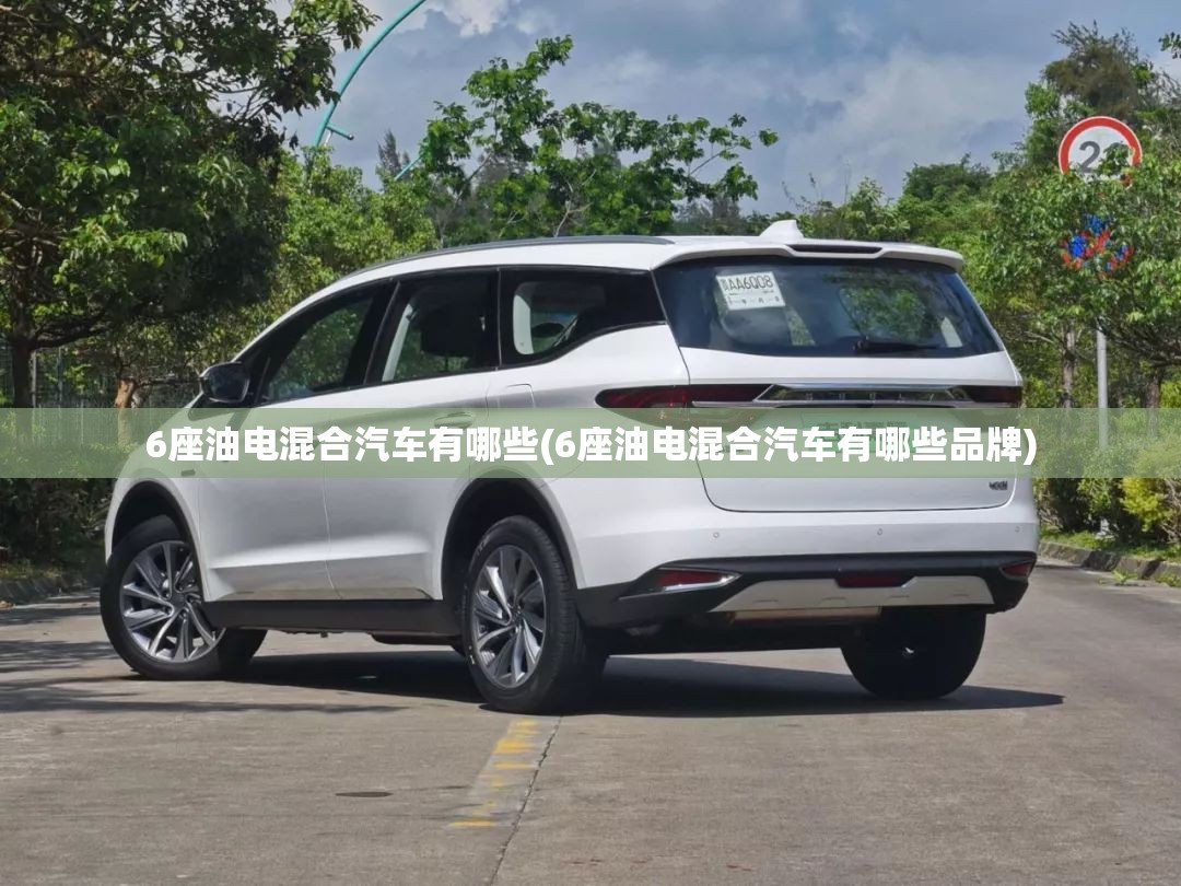 6座油电混合汽车有哪些(6座油电混合汽车有哪些品牌) 6座油电混合汽车有哪些(6座油电混合汽车有哪些品牌)
