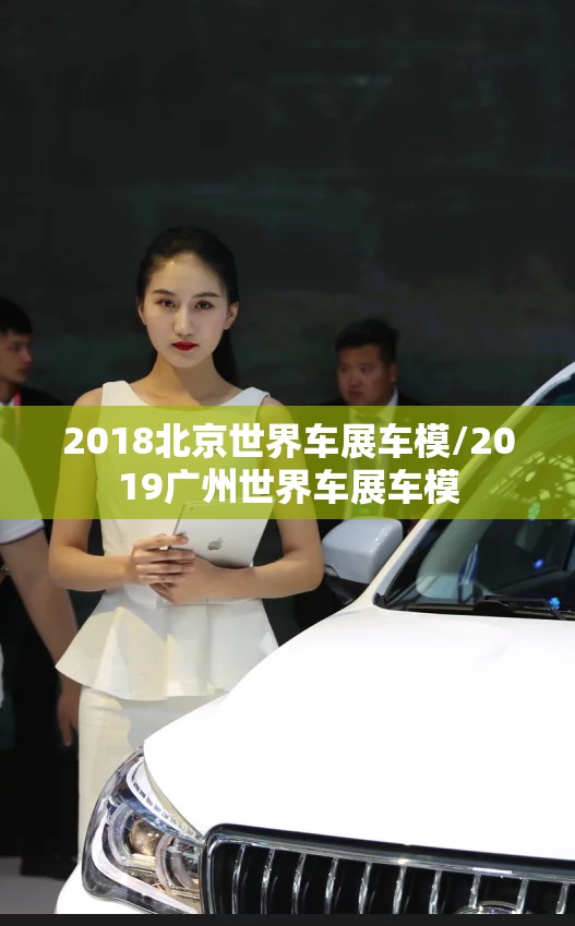 2018北京世界车展车模/2019广州世界车展车模 2018北京世界车展车模/2019广州世界车展车模