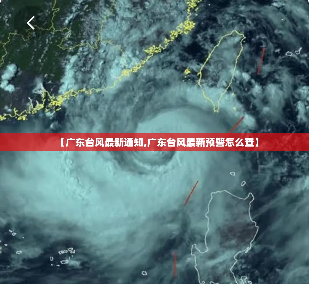 【广东台风最新通知,广东台风最新预警怎么查】 【广东台风最新通知,广东台风最新预警怎么查】